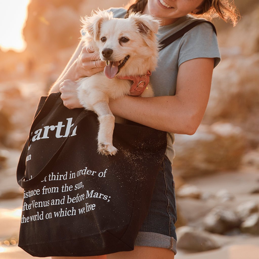 Organic Cotton Canvas Tote Bag