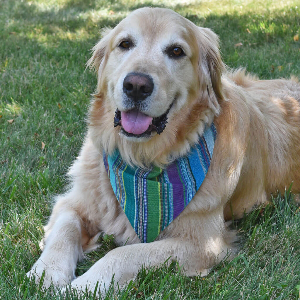 Dog Bandana | Quetzal Jade Jubilee