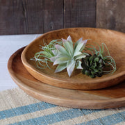 Medium Ola Wood Platter - 14 inch