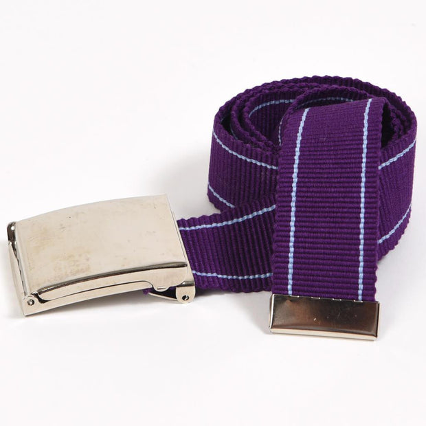 Men's Striped Canvas Belts | Violet & Light Blue Pinstripe