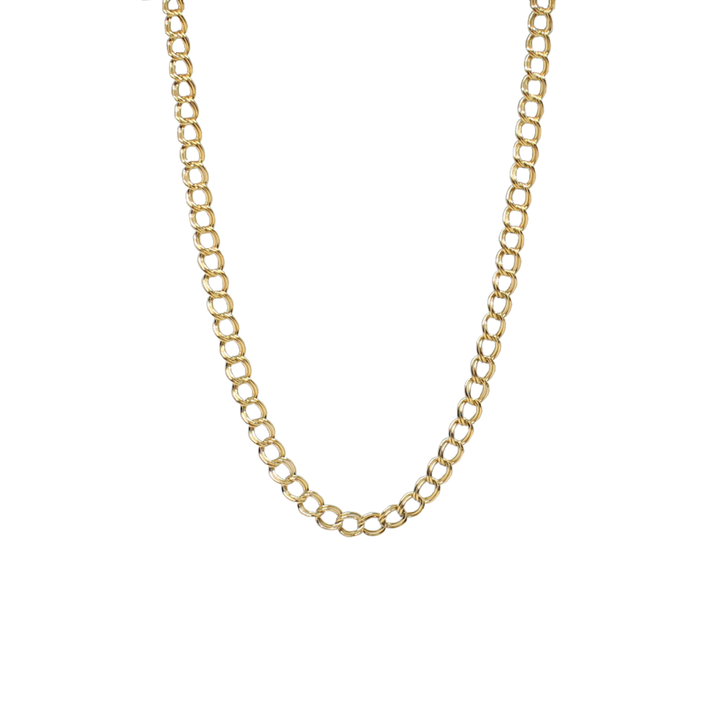 Double Curb Chain Necklace