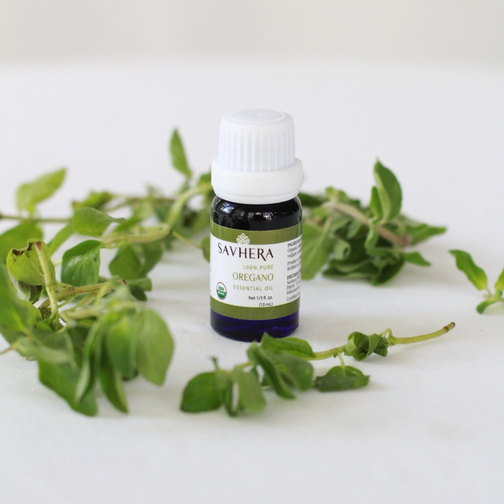 Organic Oregano Essential Oil