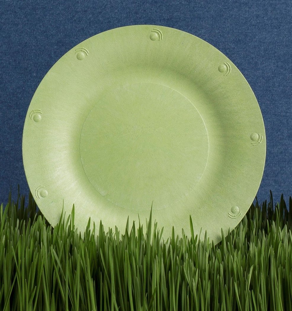 Large Compostable Plates | 8 Count