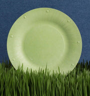 Large Compostable Plates | 8 Count
