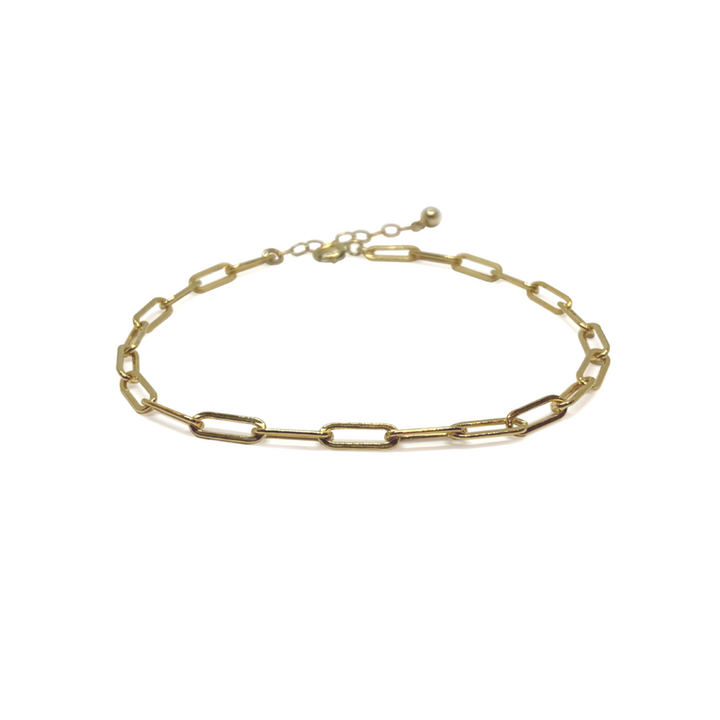 Linked Anklet