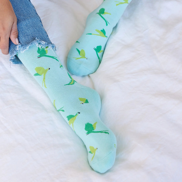 Socks that Protect Macaws