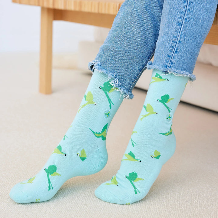 Socks that Protect Macaws