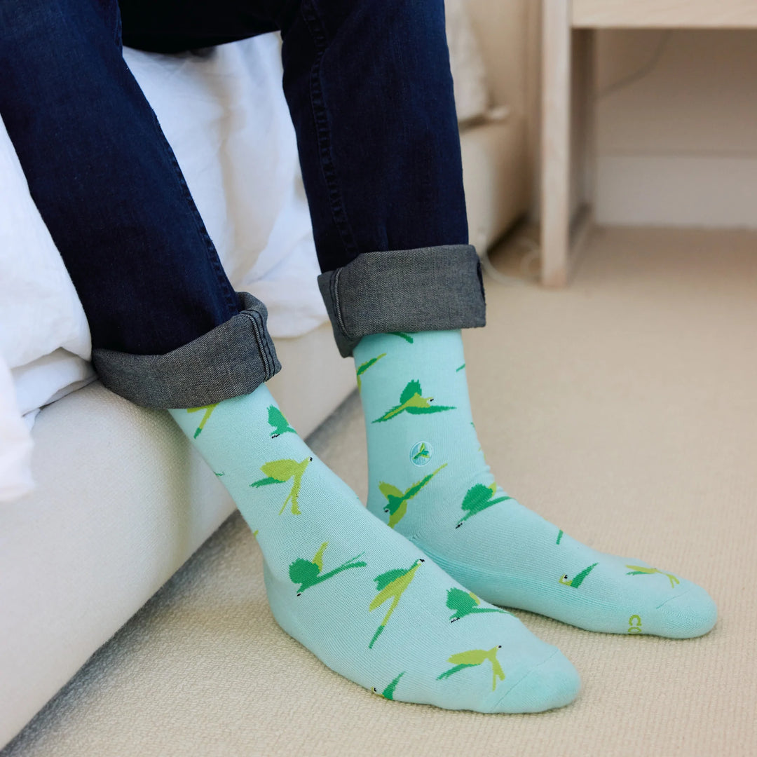 Socks that Protect Macaws