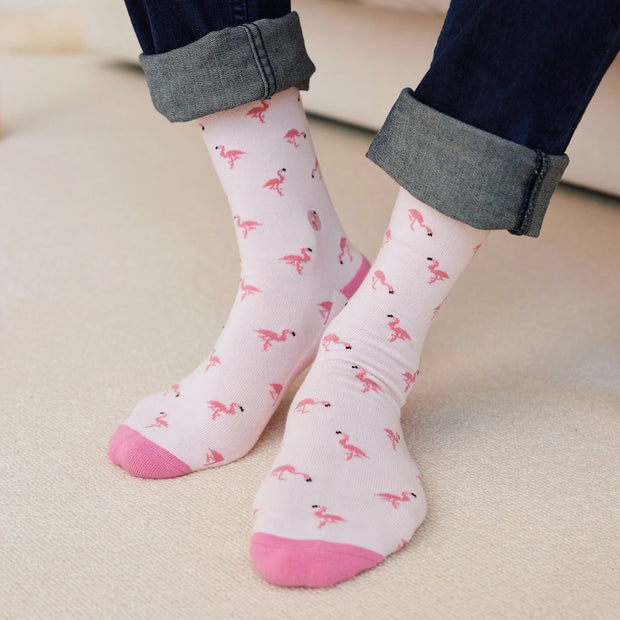 Socks That Protect Flamingos