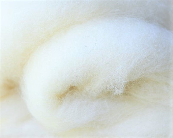 Organic Buckwheat & Wool Pillow - in organic cotton case