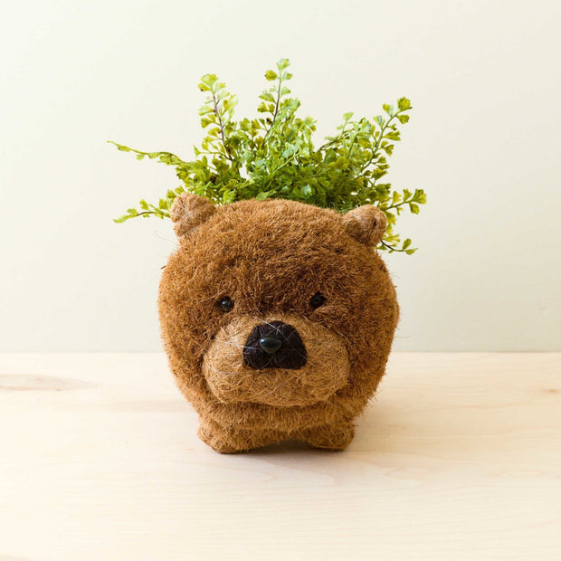 Chow Chow Planter - Dog Plant Pot | LIKHA