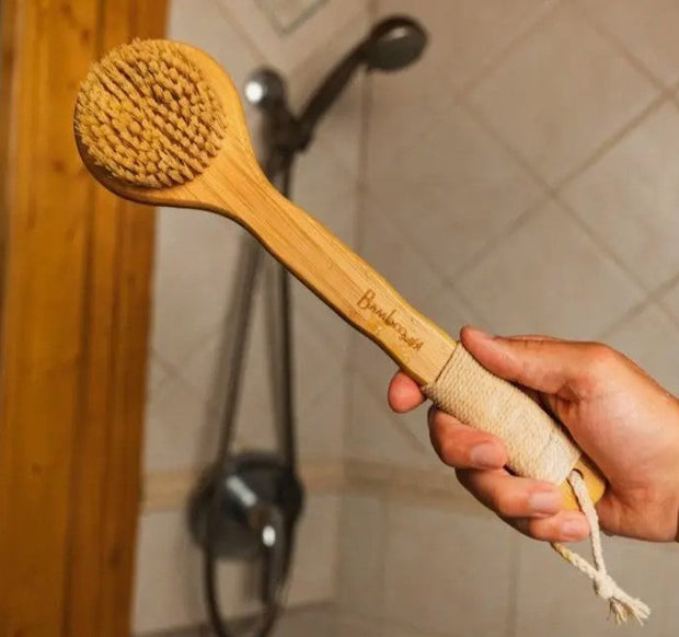 Dry Brush/Shower Brush