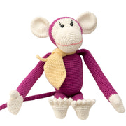 Momo the monkey