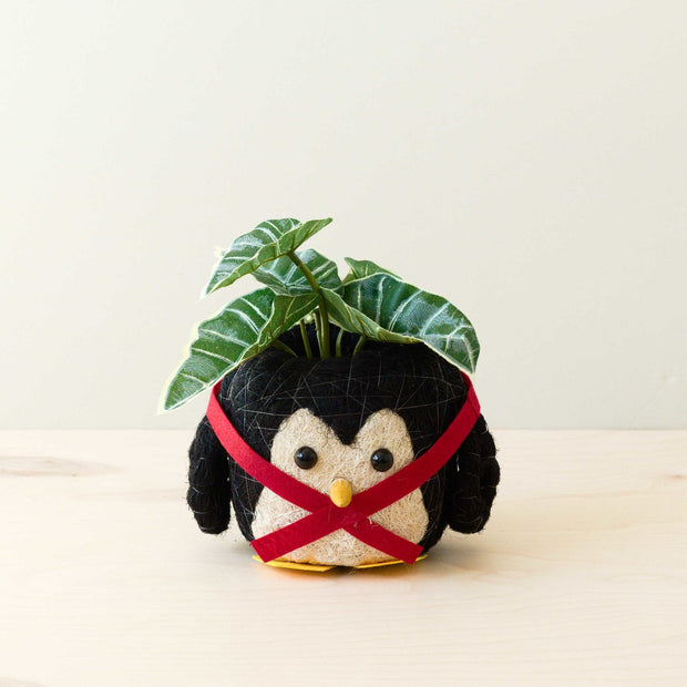 Penguin Planter - Coco Coir Pot | LIKHA