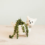 Baby Cat Planter - Handmade Pot | LIKHÂ