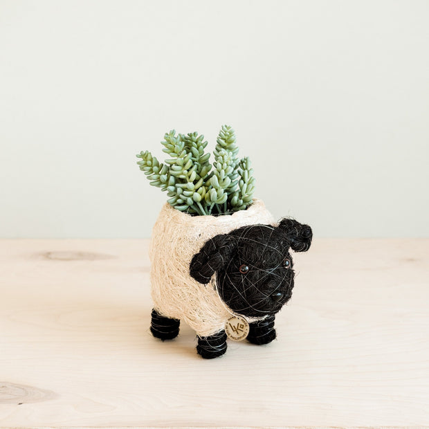 Baby Sheep Planter - Coco Coir Pots | LIKHÂ