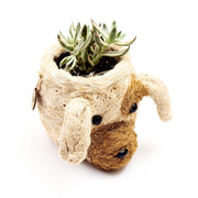 Dog Succulent Planter - Animal Head Plant Pot | LIKHÂ