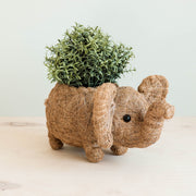 Elephant Plant Pot - Handmade Planter | LIKHÂ