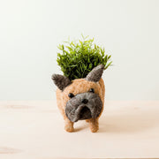 French Bulldog Planter - Coco Coir Pots | LIKHÂ