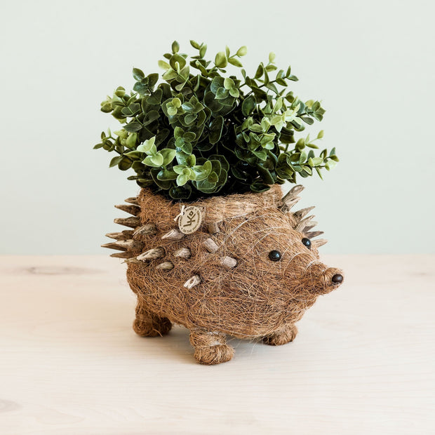Hedgehog Planter - Coco Planter| LIKHÂ