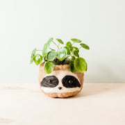 Large three-tone Sloth - Coco Coir Pots (6 inch) | LIKHÂ