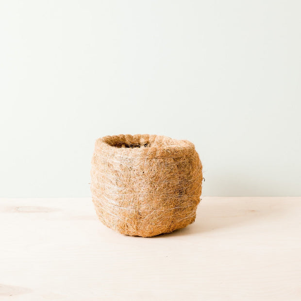 Large two-tone Sloth - Coco Coir Pots (6 inch) | LIKHÂ
