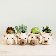Pig Plant Pot - Animal Head Plant Pot | LIKHÂ