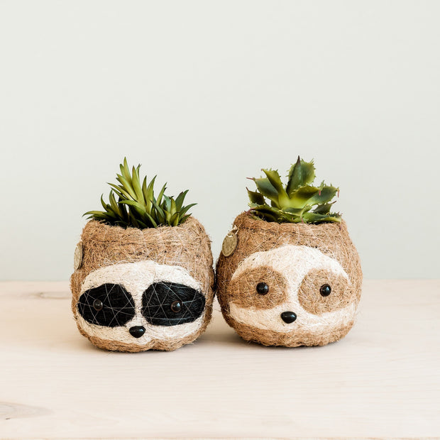 Three-tone Sloth Coco Coir Planter - Handmade Planters | LIKHÂ