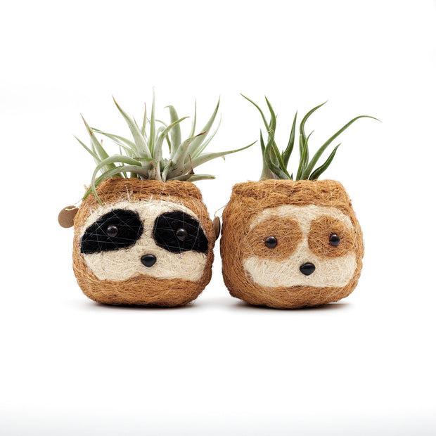 Three-tone Sloth Coco Coir Planter - Handmade Planters | LIKHÂ