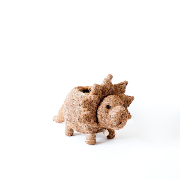 Triceratops Planter - Coco Coir Pots | LIKHÂ