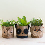 Owl 6" Seagrass Basket Planter - Succulent Plant Pot | LIKHA