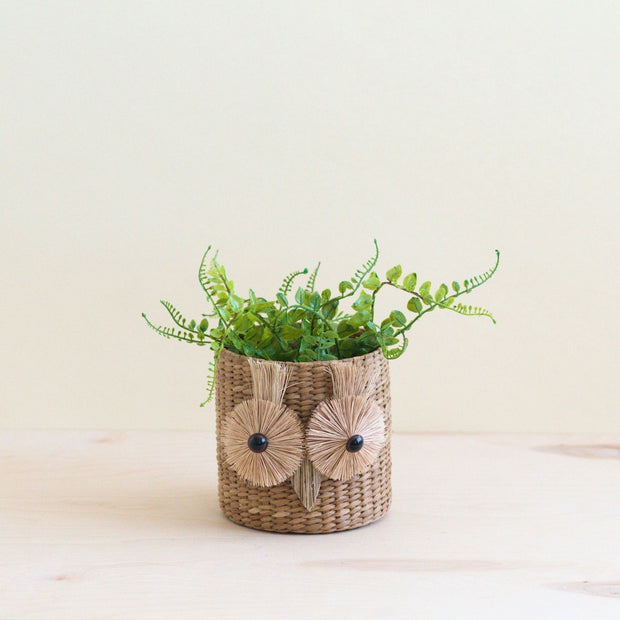 Owl 6" Seagrass Basket Planter - Succulent Plant Pot | LIKHA