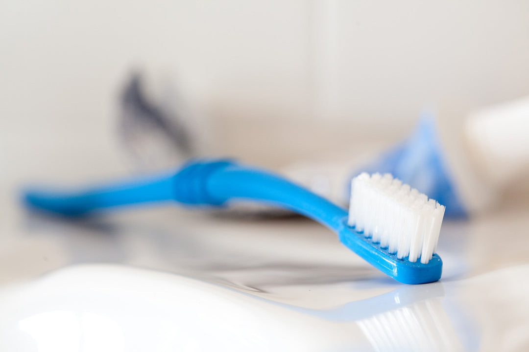 Toothbrush in Lightweight Pouch