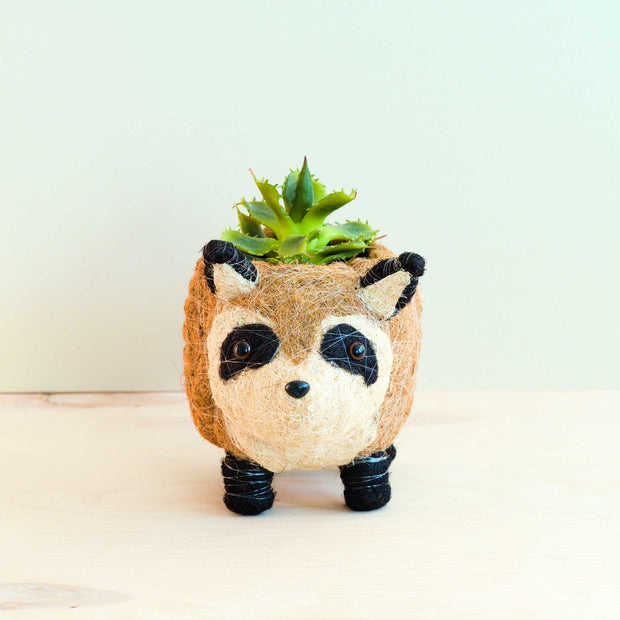 Raccoon Planter - Handmade Plant Pot | LIKHA