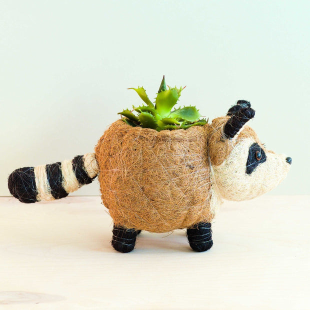 Raccoon Planter - Handmade Plant Pot | LIKHA
