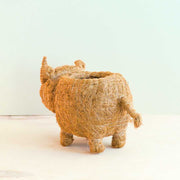 Rhino Planter - Coco Coir Pot | LIKHA