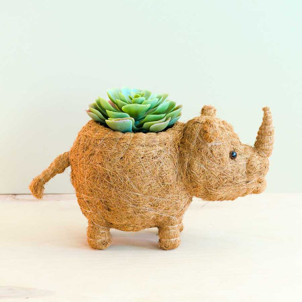 Rhino Planter - Coco Coir Pot | LIKHA