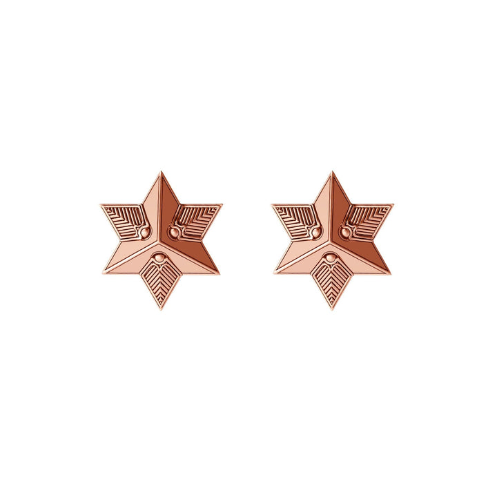 Star Stud Earrings - Rose Gold
