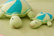 Thelma and Louse the turtles
