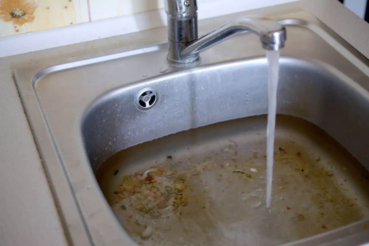 6480846130354 2025 05 20t092857.456