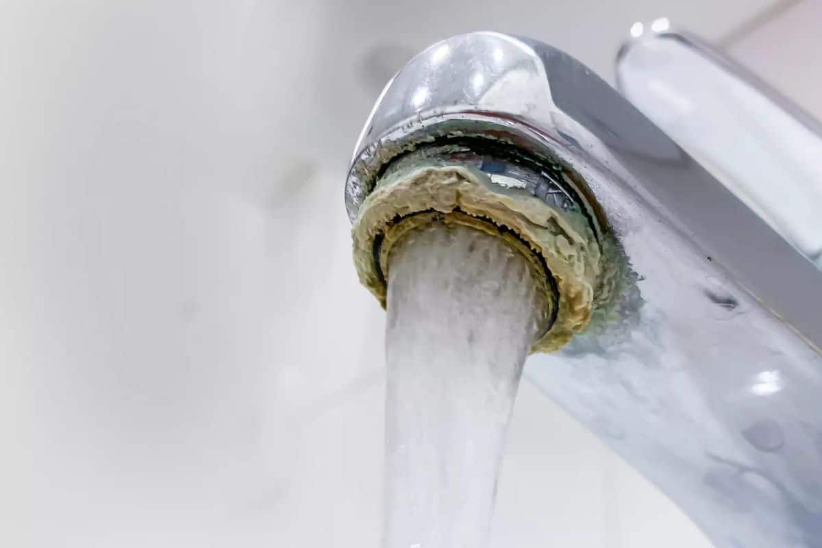 6480846130354 2025 05 20t093611.153