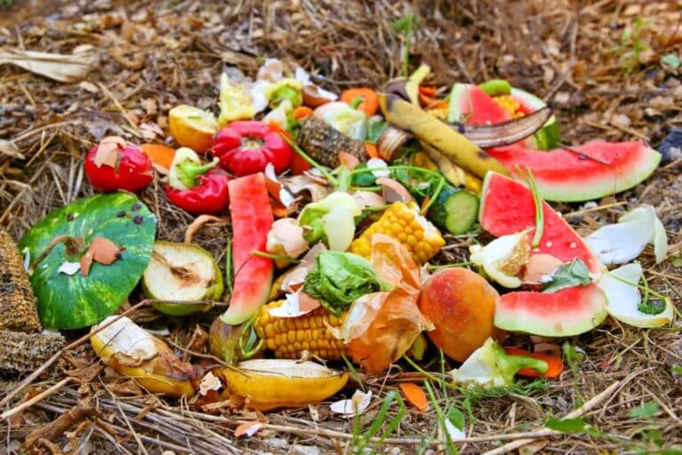 6480846130354 2025 05 22t140558.395