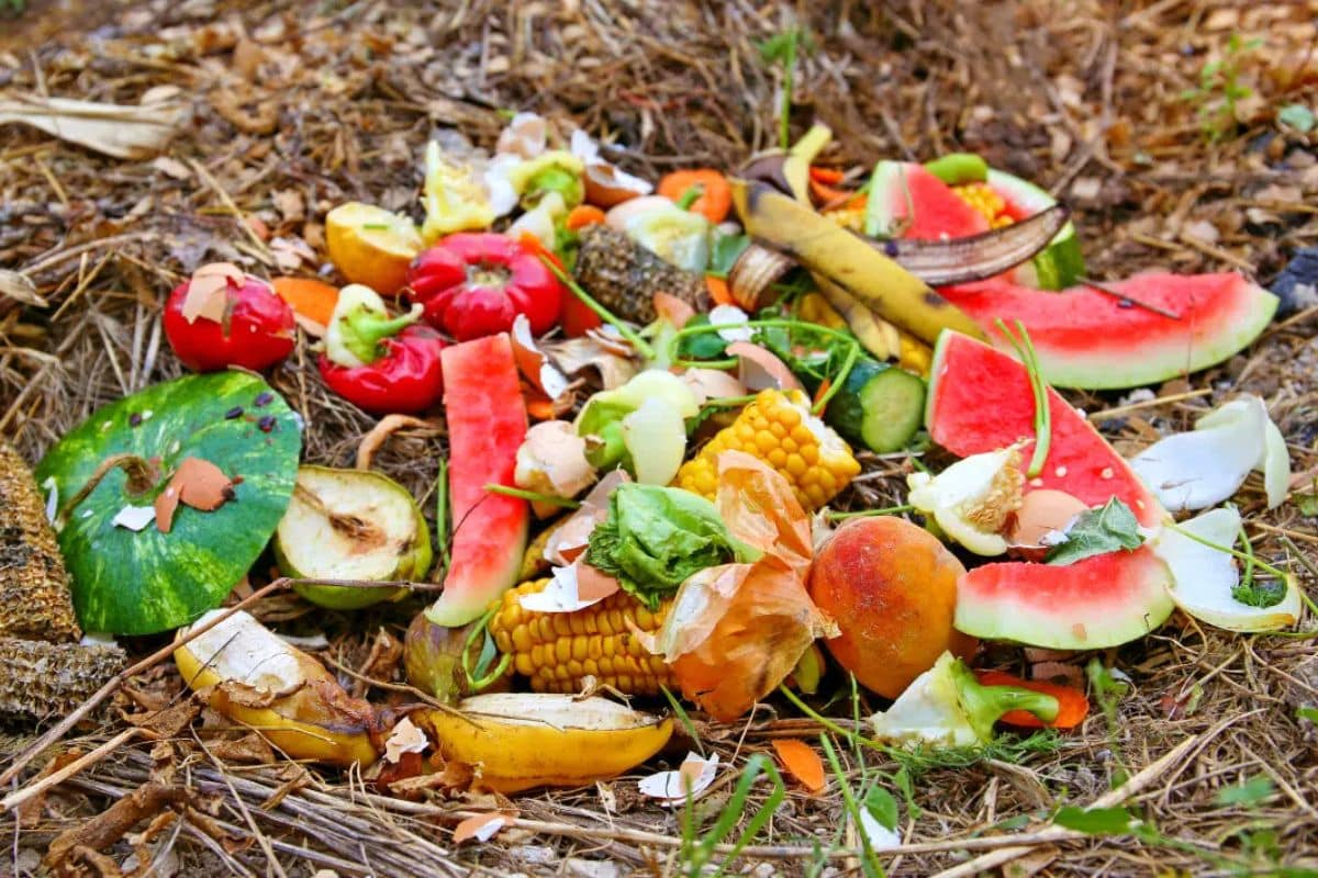 6480846130354 2025 05 22t140558.395